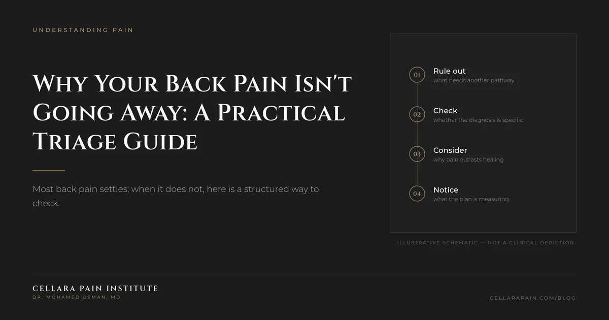 Cellara Journal hero graphic: Why Your Back Pain Isn't Going Away: A Practical Triage Guide.
