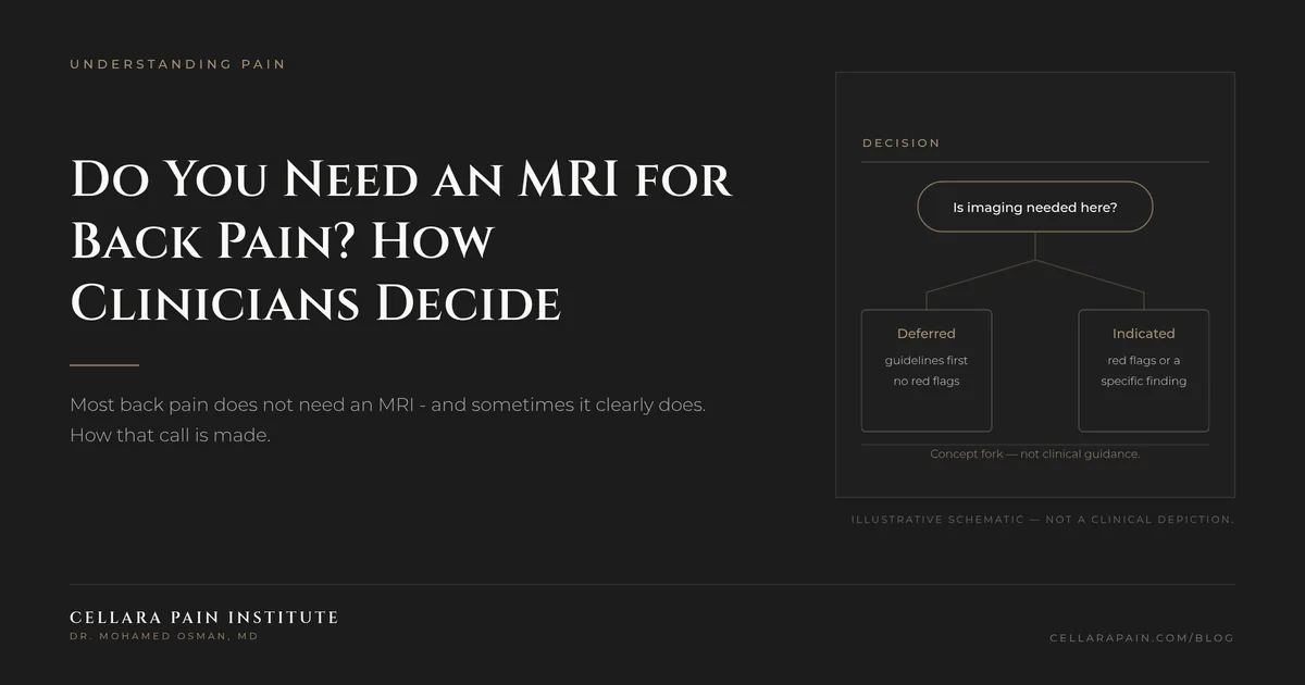 Cellara Journal hero graphic: Do You Need an MRI for Back Pain? How Clinicians Decide.